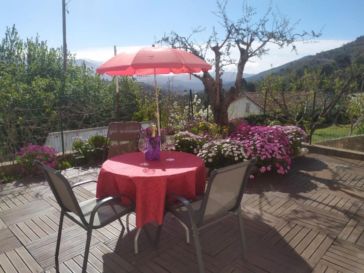 Studio Le Romantique A 20 Kms De Nice Bendéjun Exterior photo